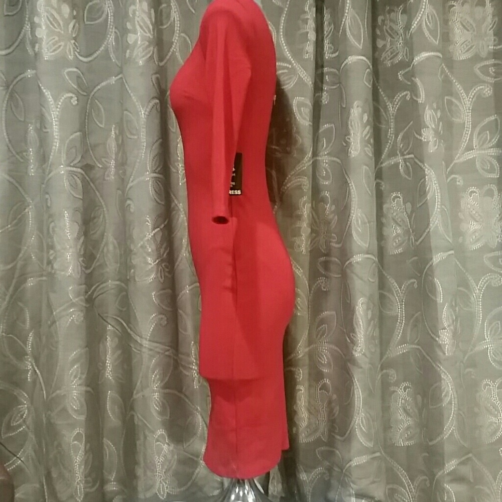 Express Dress - Picture 3 of 8